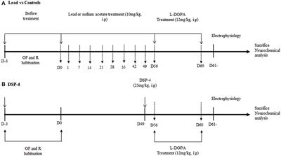 Lead-Induced Atypical Parkinsonism in Rats: Behavioral, Electrophysiological, and Neurochemical Evidence for a Role of Noradrenaline Depletion